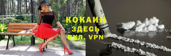 меф Арсеньев