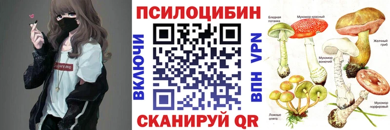 Купить  Высоковск  Псилоцибиновые грибы Magic Shrooms 